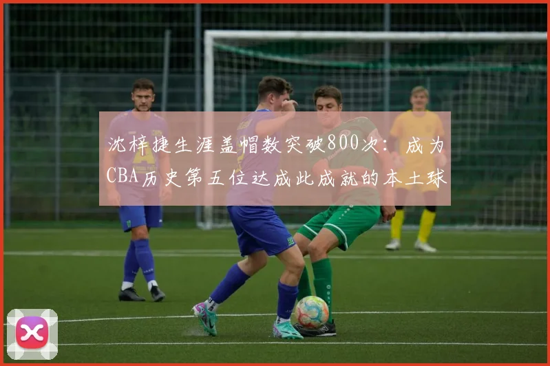 沈梓捷生涯盖帽数突破800次：成为CBA历史第五位达成此成就的本土球员